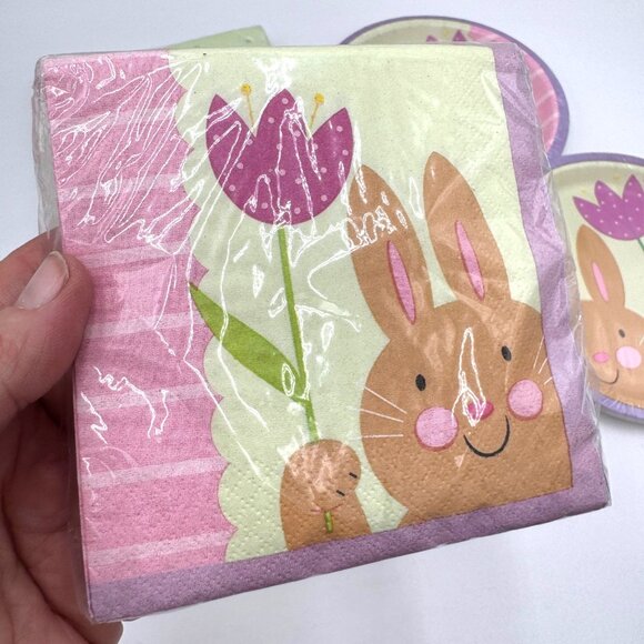 Party Creations Vintage Bunny’s Day Out paper products plates napkins Easter Spr - Picture 4 of 7